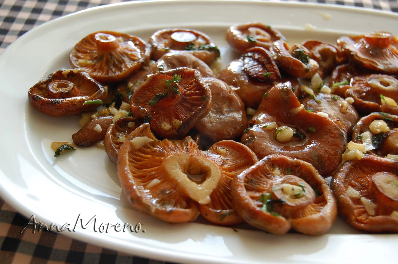 00-Rovellons.webp