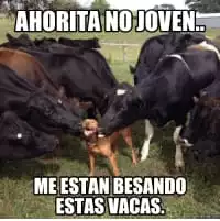 1000000080.webp