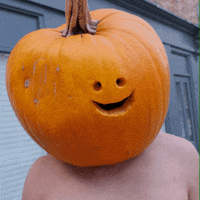 1000000264.gif
