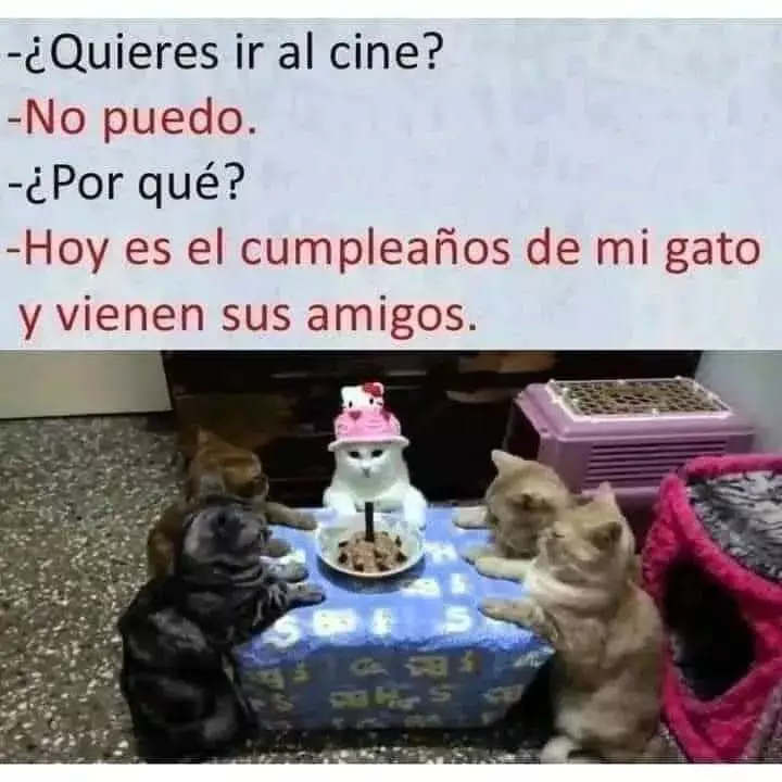 1000001013.webp