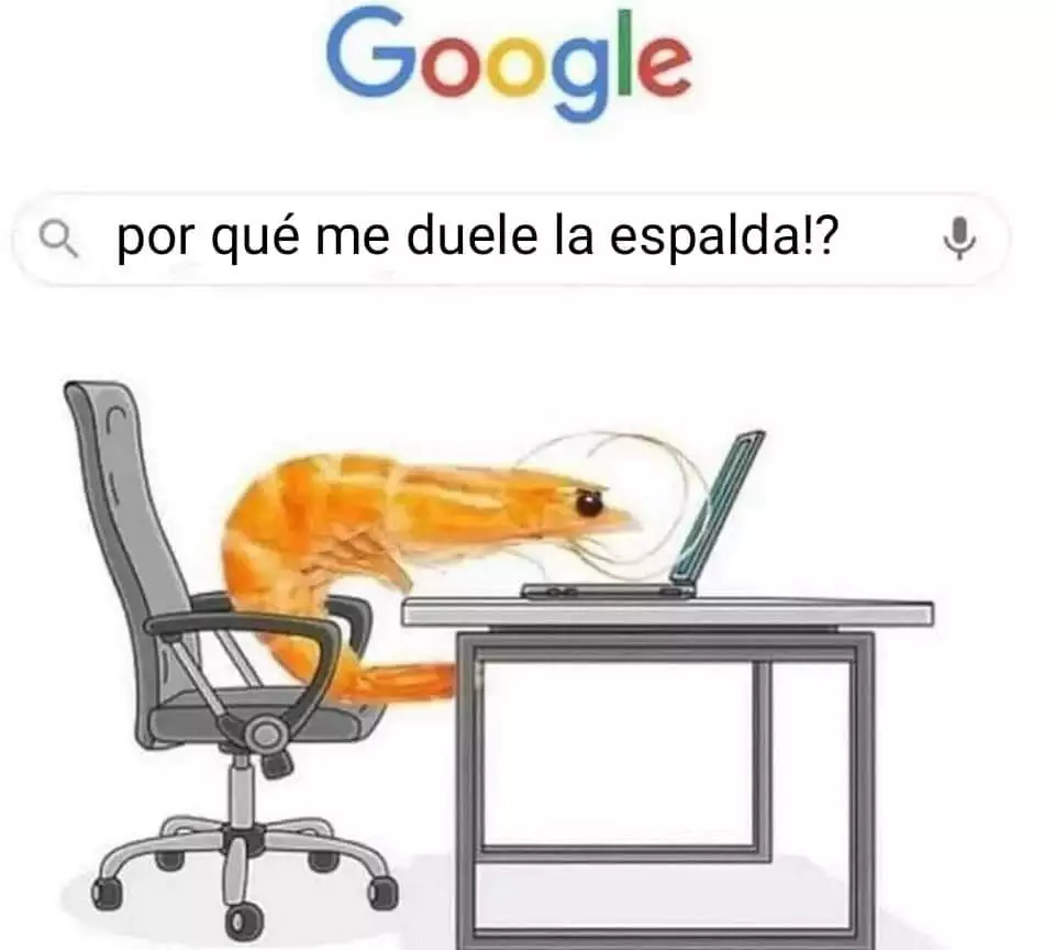 1000002294.webp