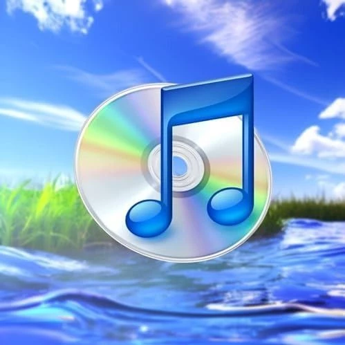 1000002528.webp