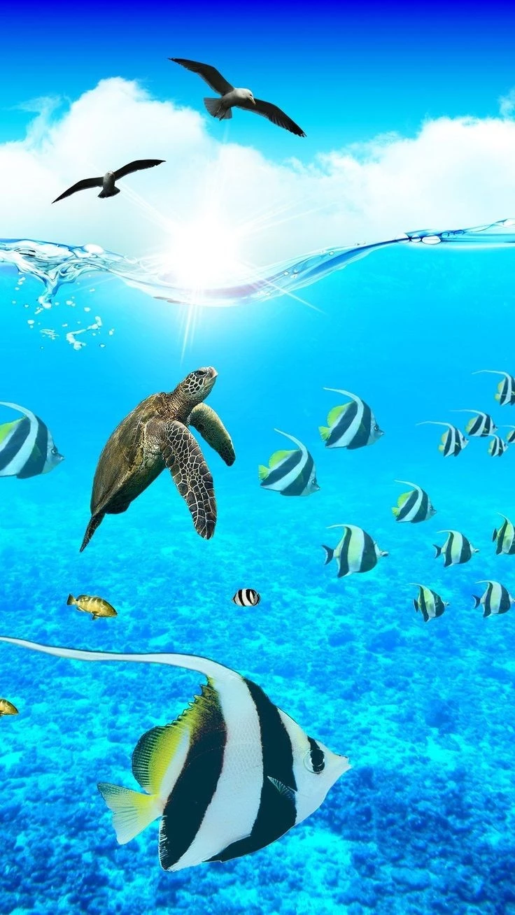 1000002552.webp