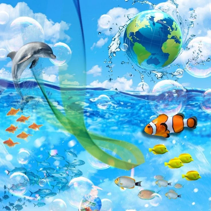 1000002554.webp