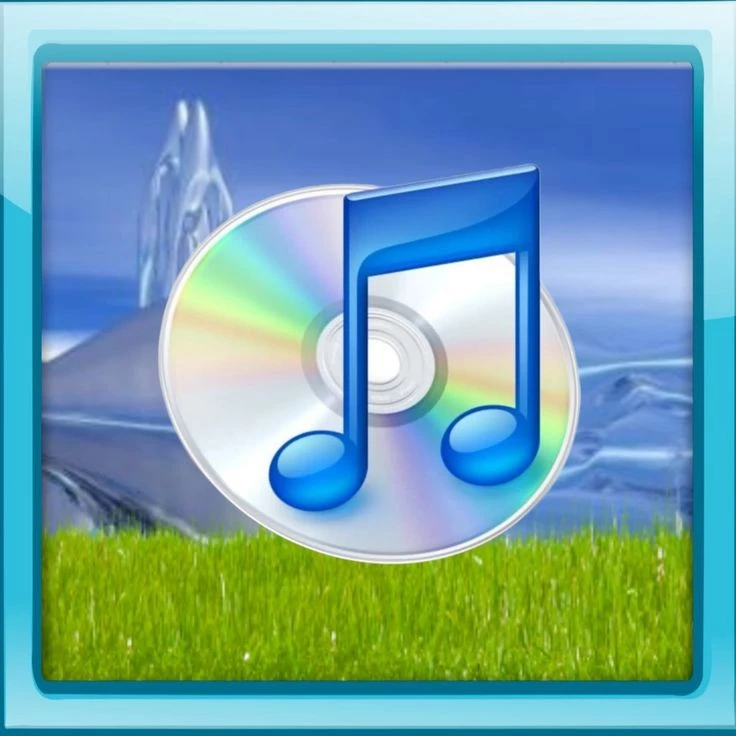 1000002573.webp