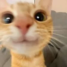 1000003444.webp