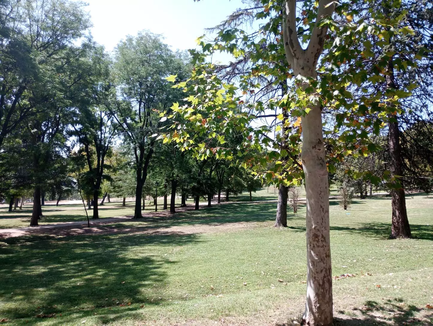 1000004614.webp