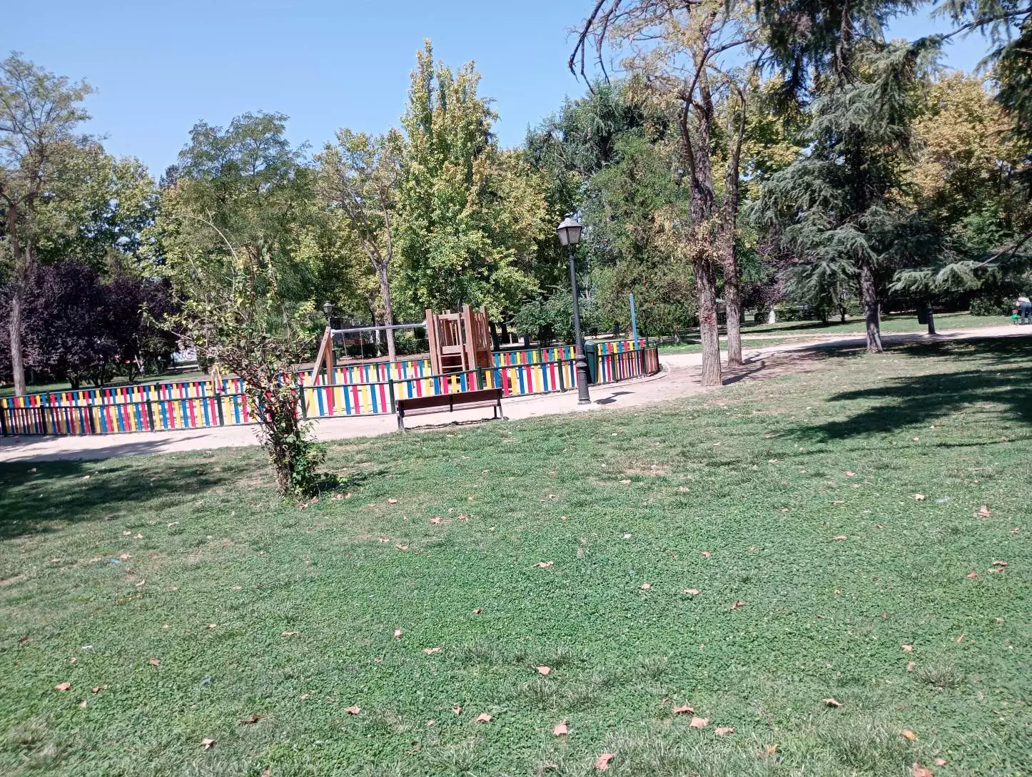 1000004628.webp