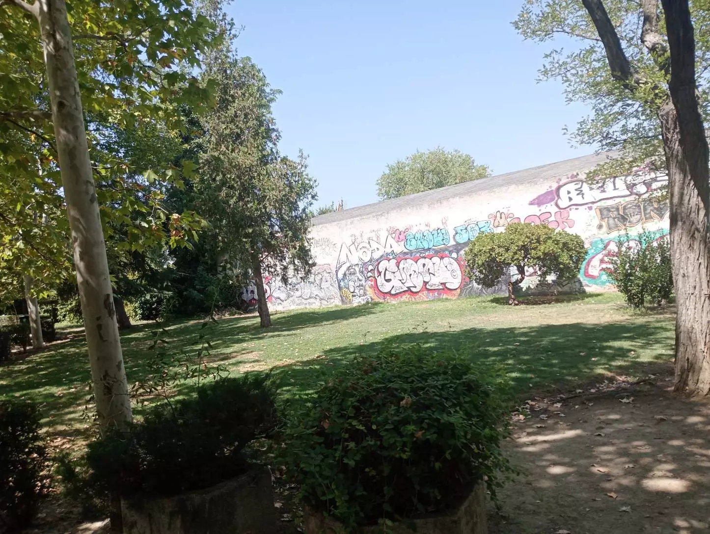 1000004648.webp