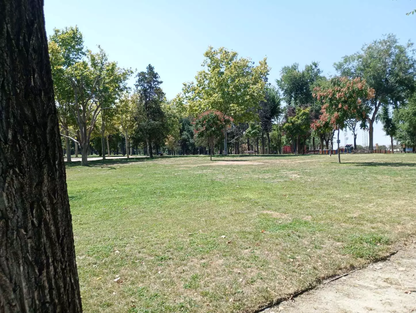 1000004651.webp