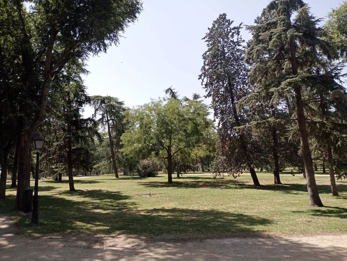 1000004670.webp