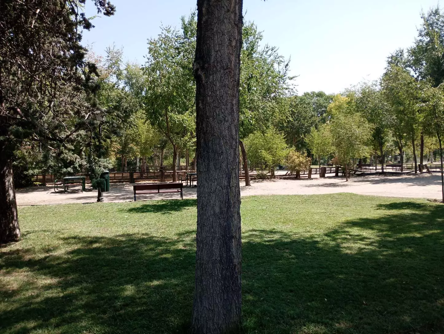 1000004671.webp