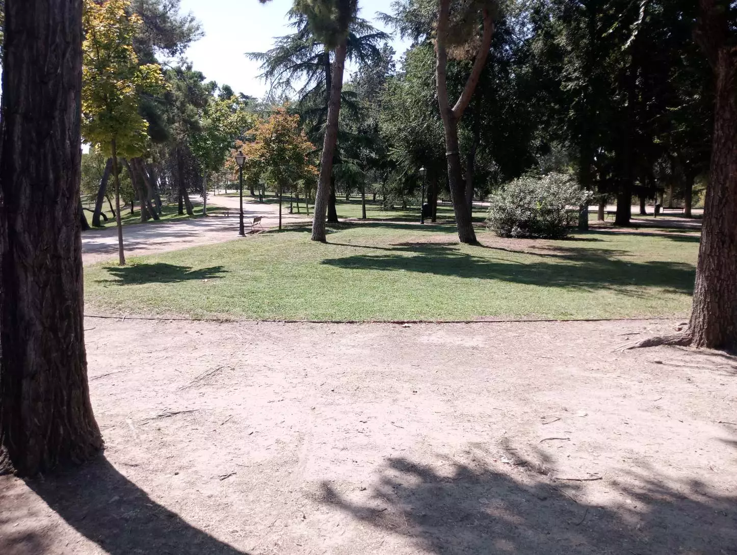 1000004681.webp