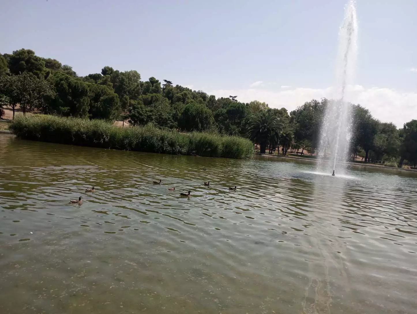 1000004735.webp