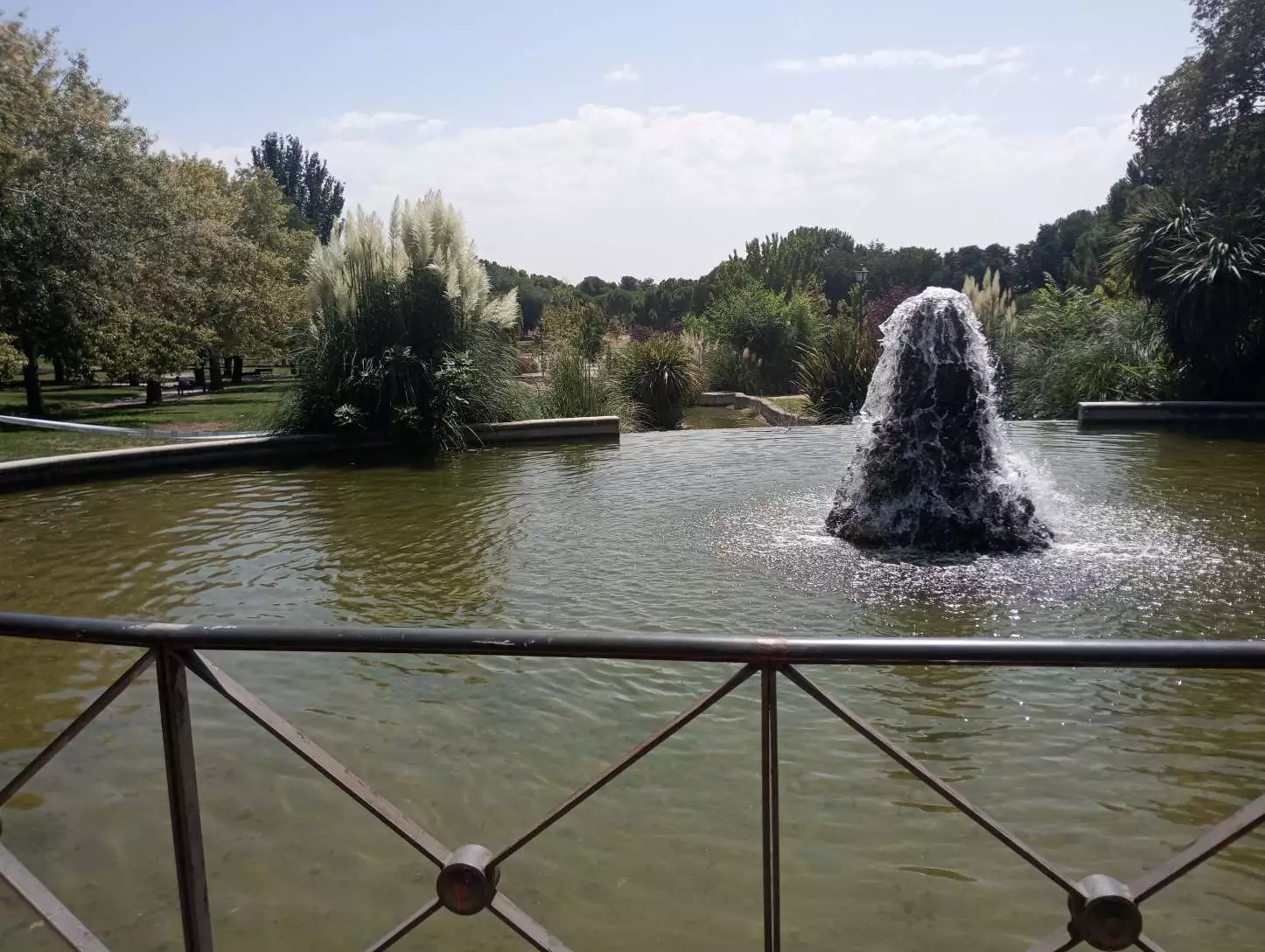1000004738.webp