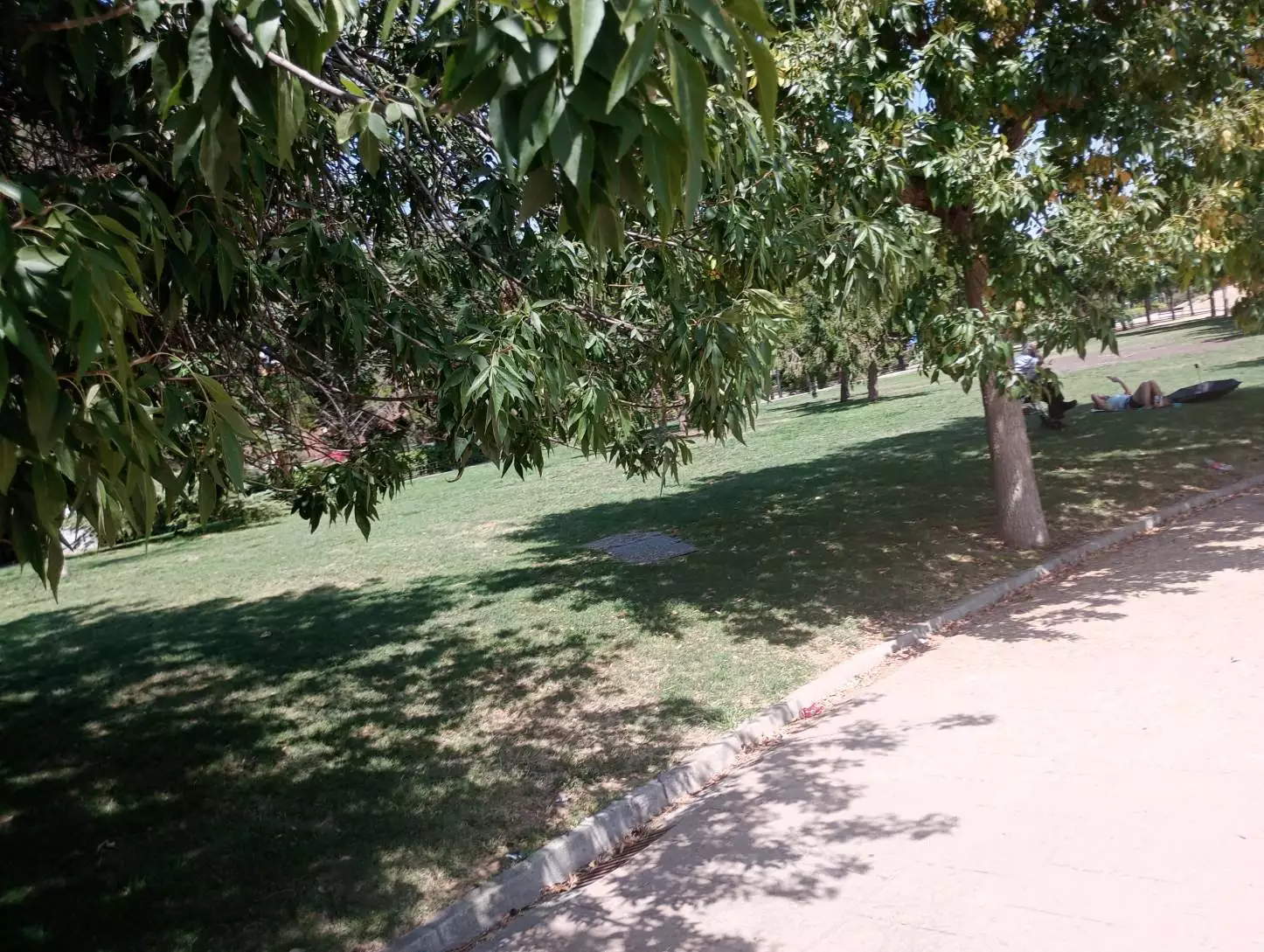 1000004739.webp