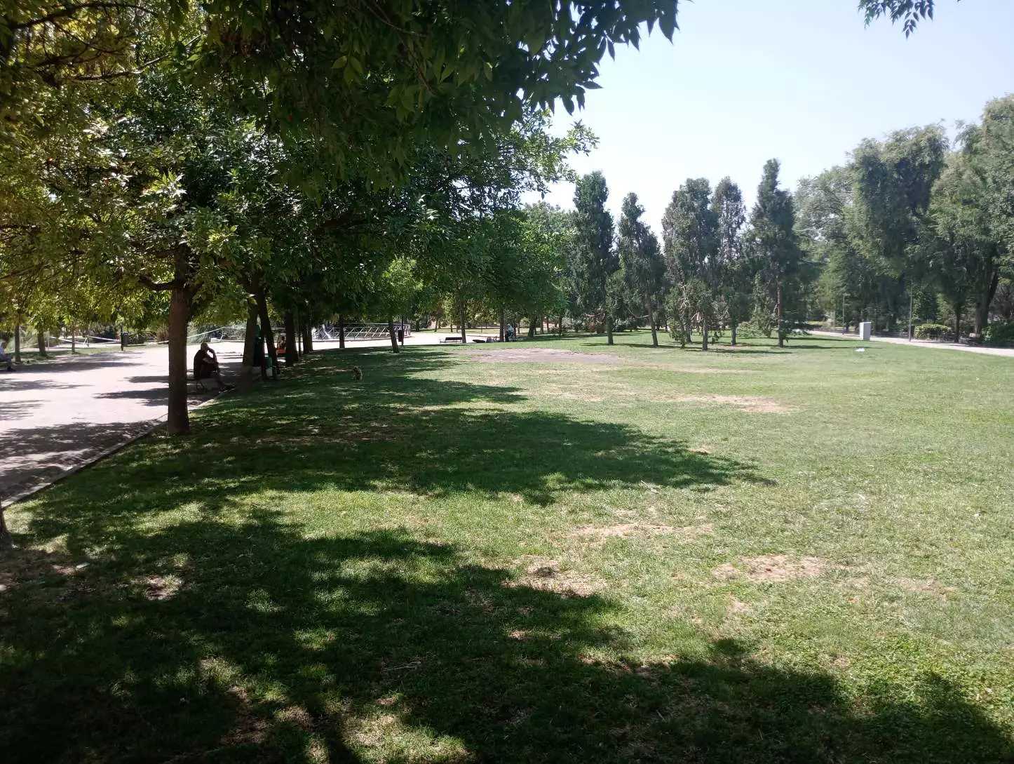 1000004740.webp