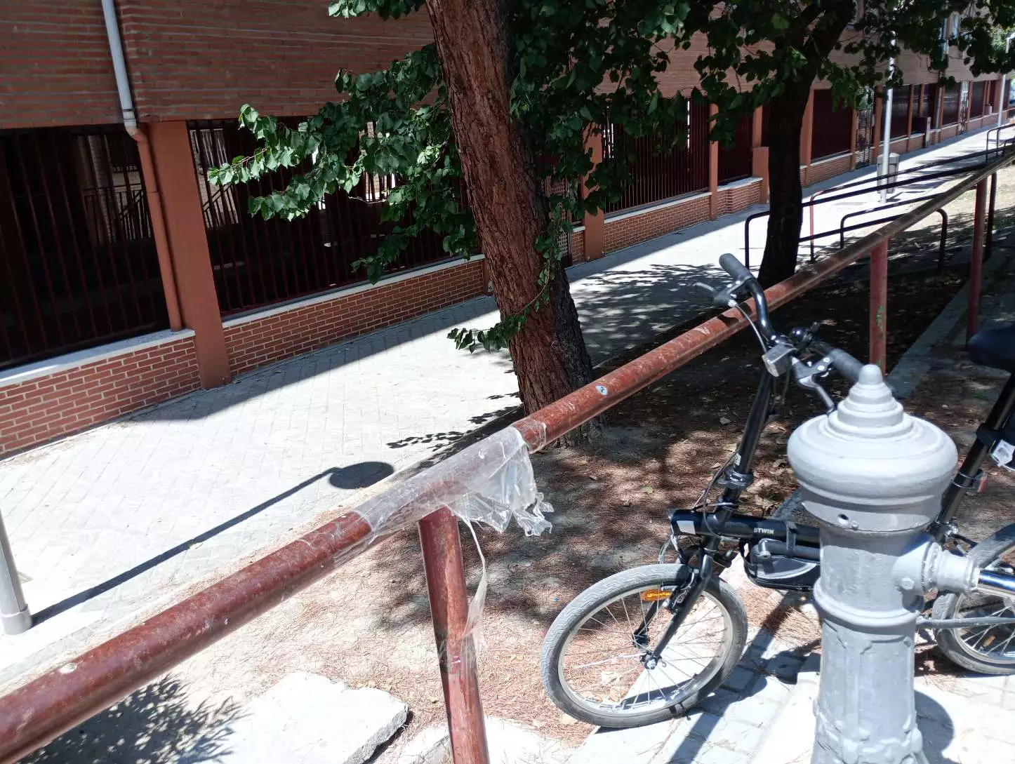 1000004804.webp