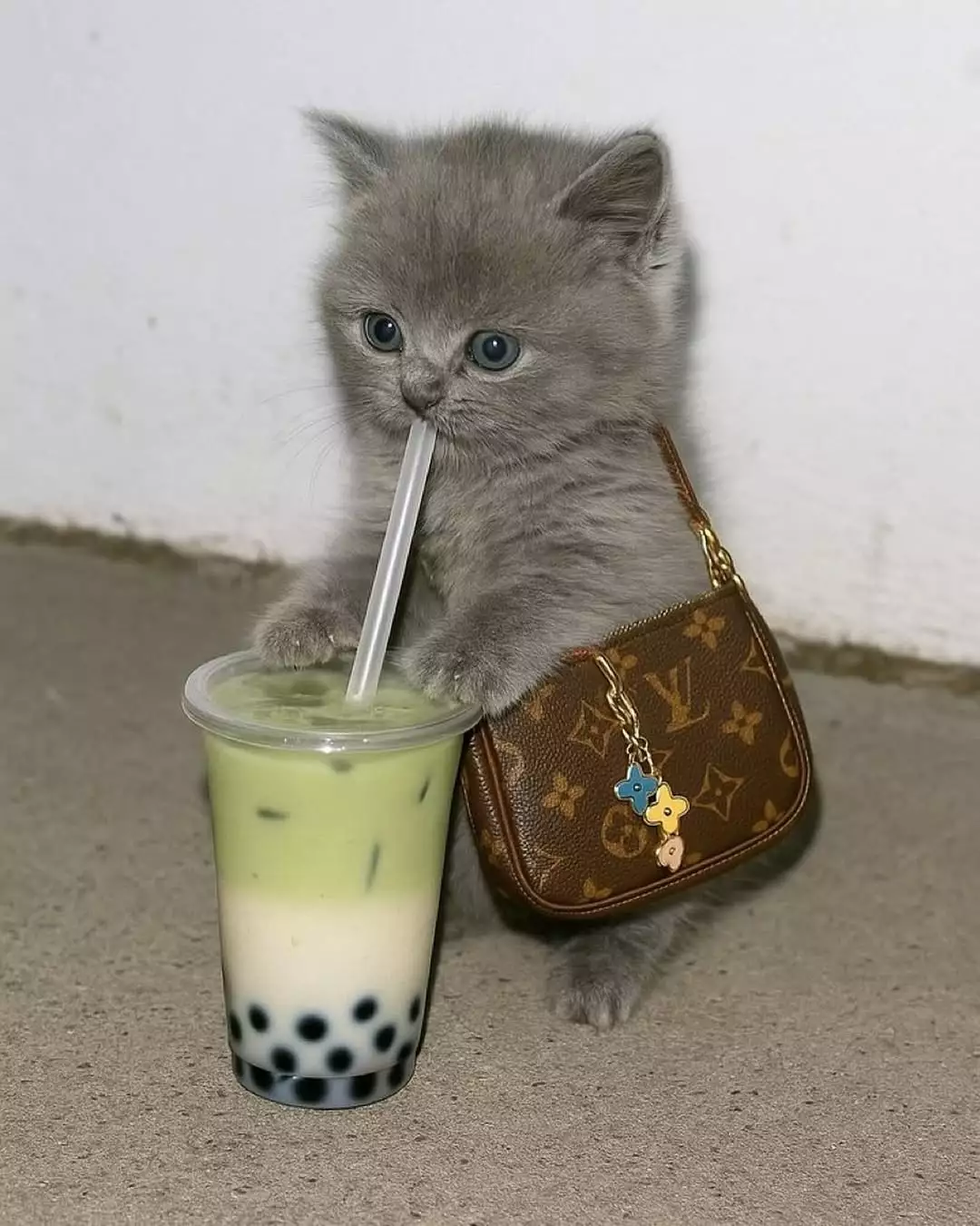 1000006074.webp