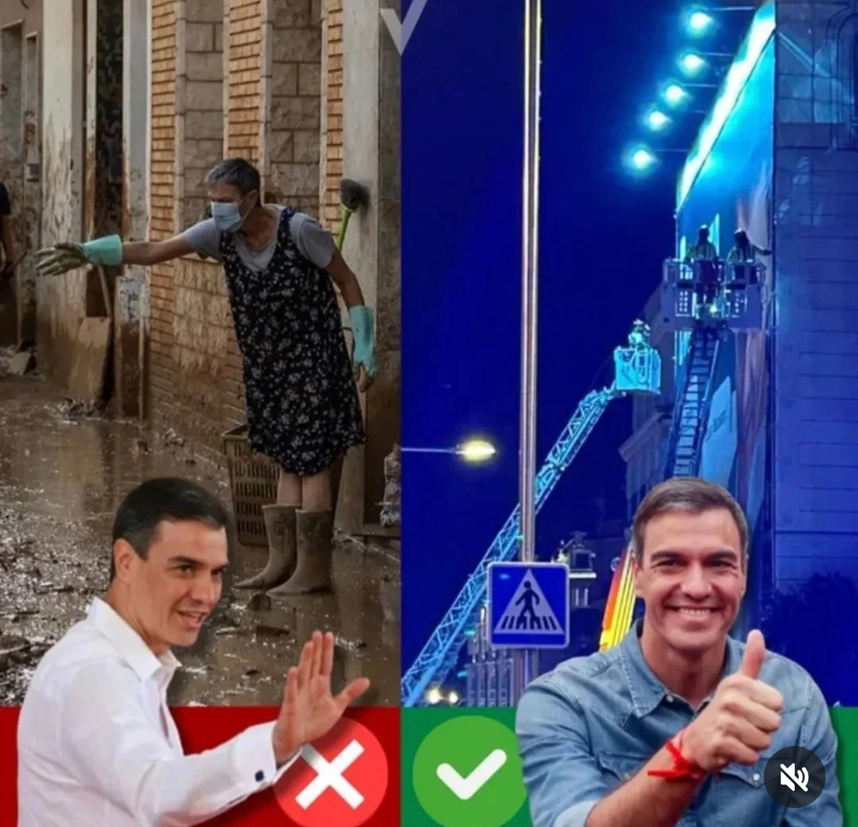 1000006398.jpg