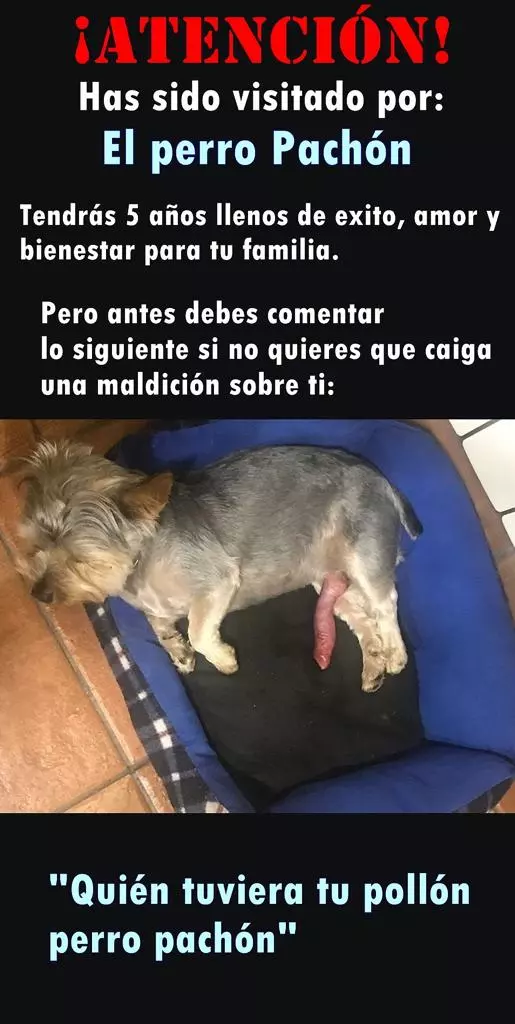 1000007526.webp