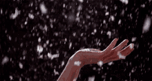 1000008918.gif