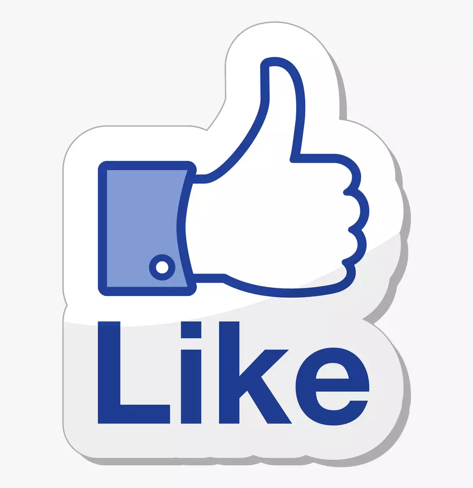 1000011545.webp