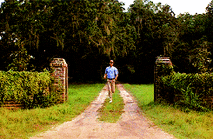 1000011972.gif