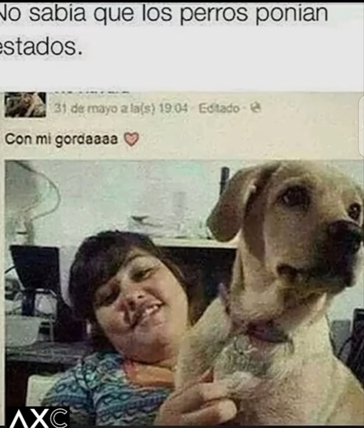 1000012295.webp