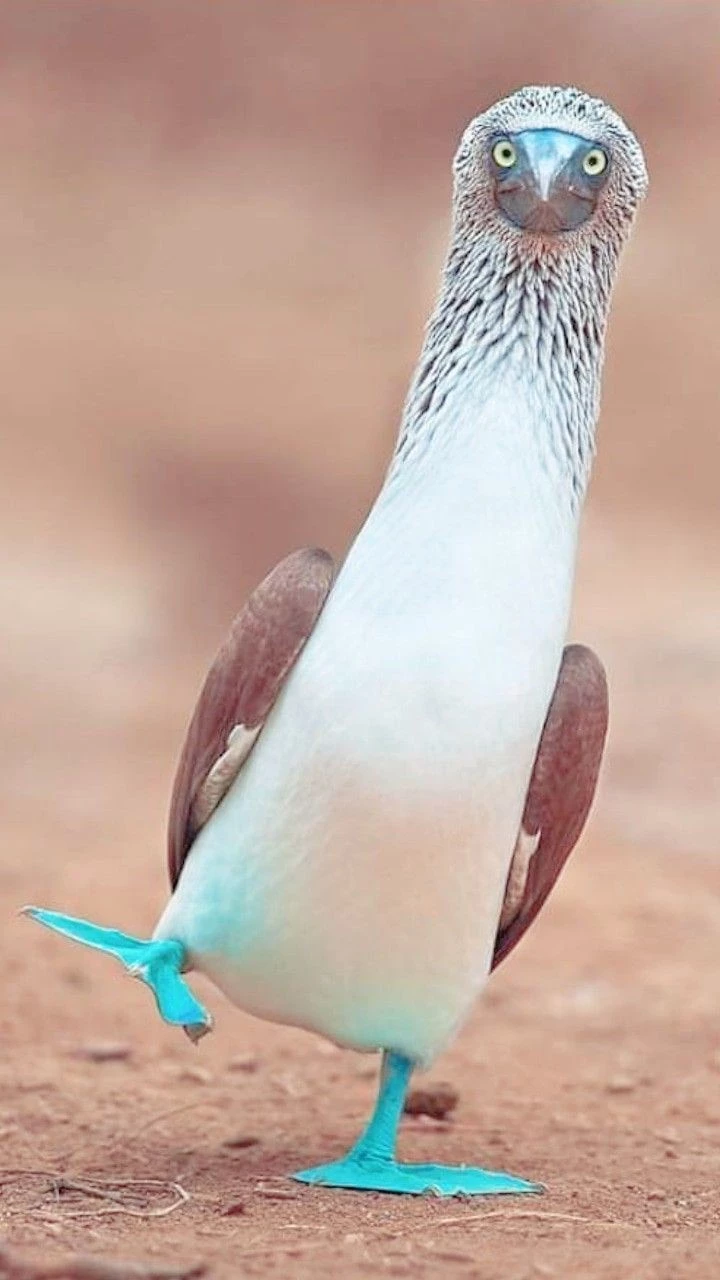 1000014163.webp
