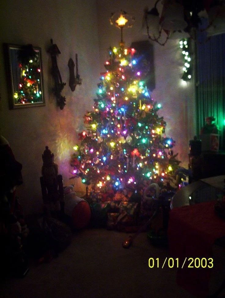 1000015674.webp