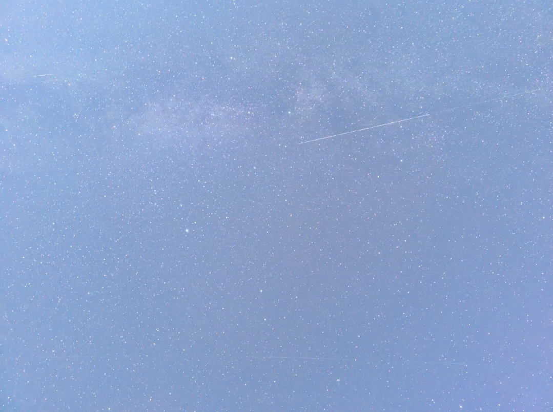 1000019040.webp