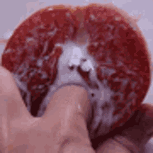 1000020122.gif