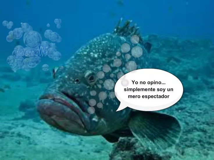 1000021661.webp