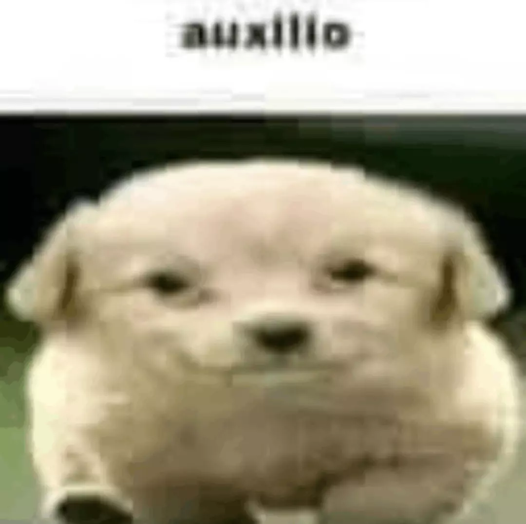 1000023642.webp
