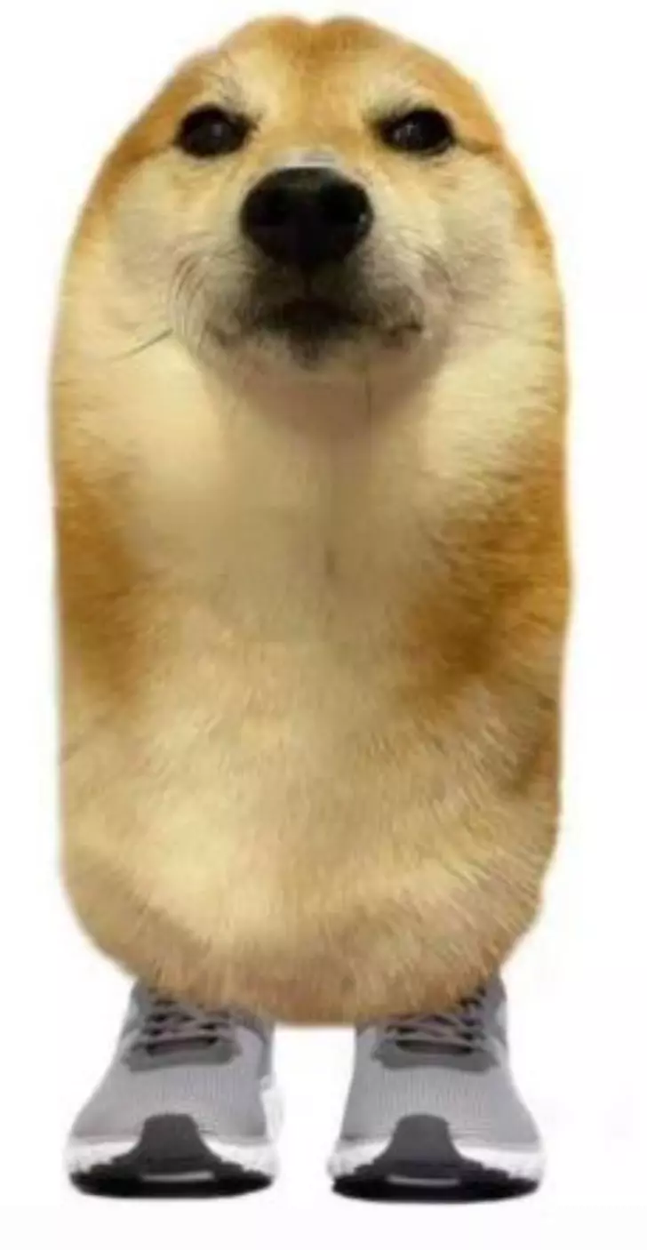 1000023658.webp
