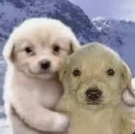 1000023659.webp