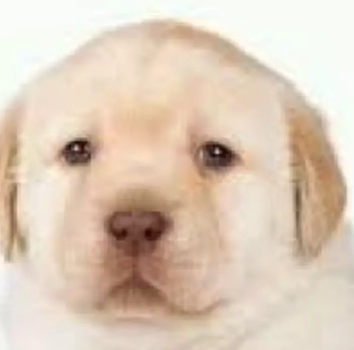 1000023674.webp