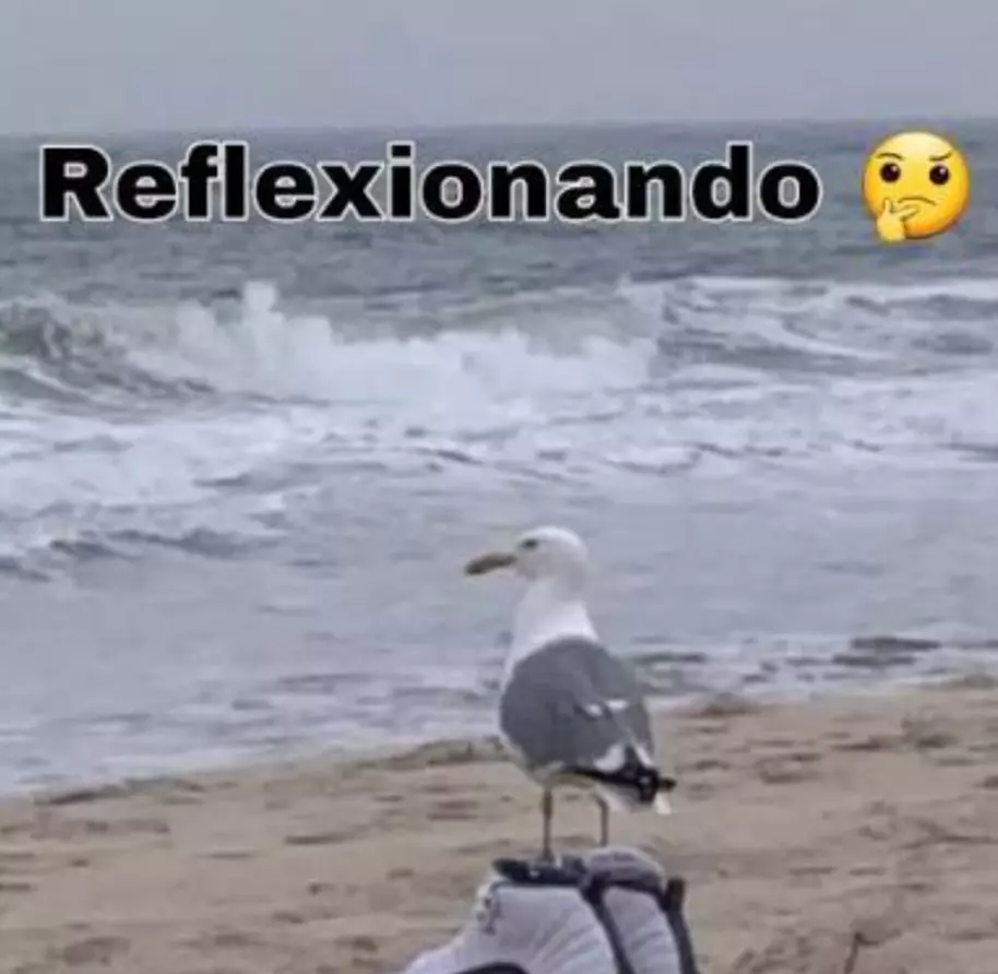 1000023680.webp