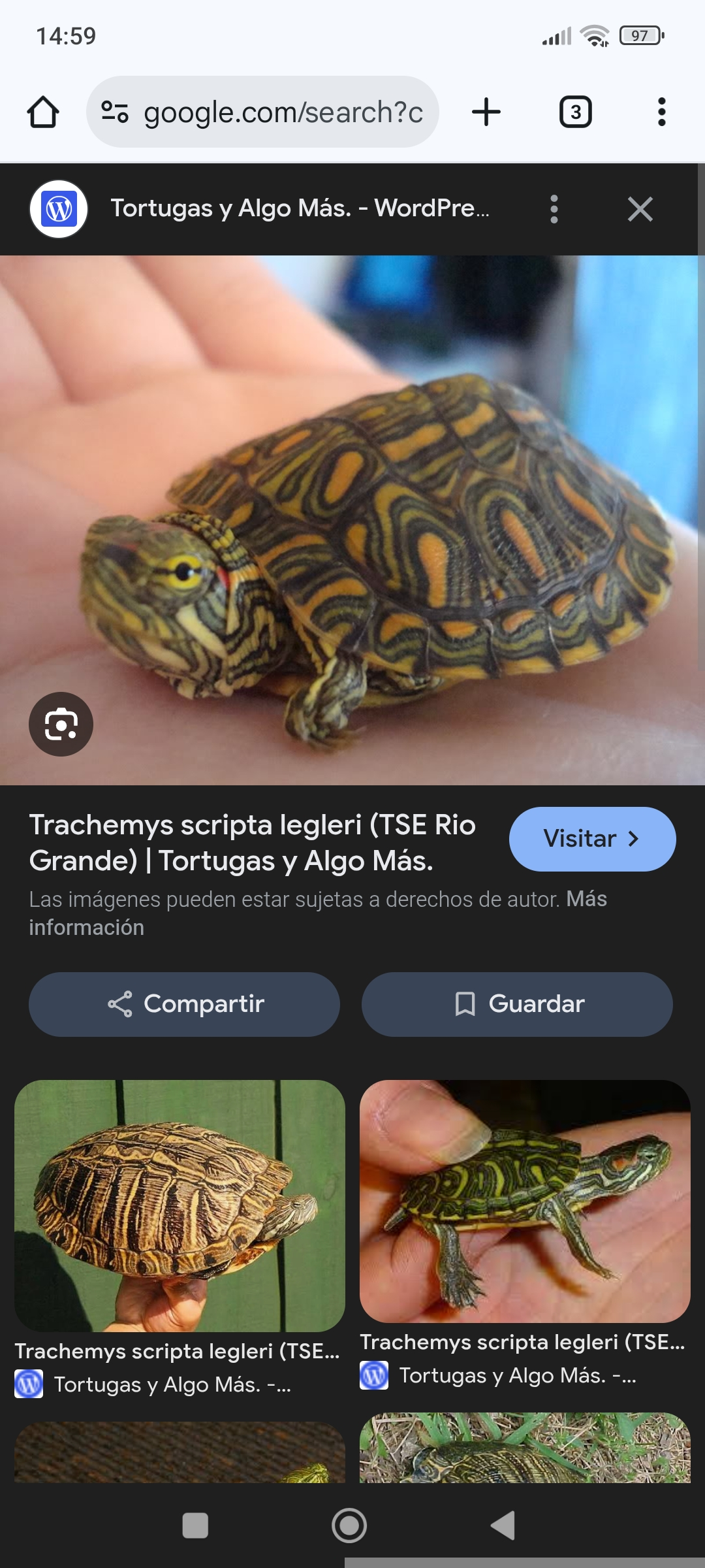 1000025406.webp