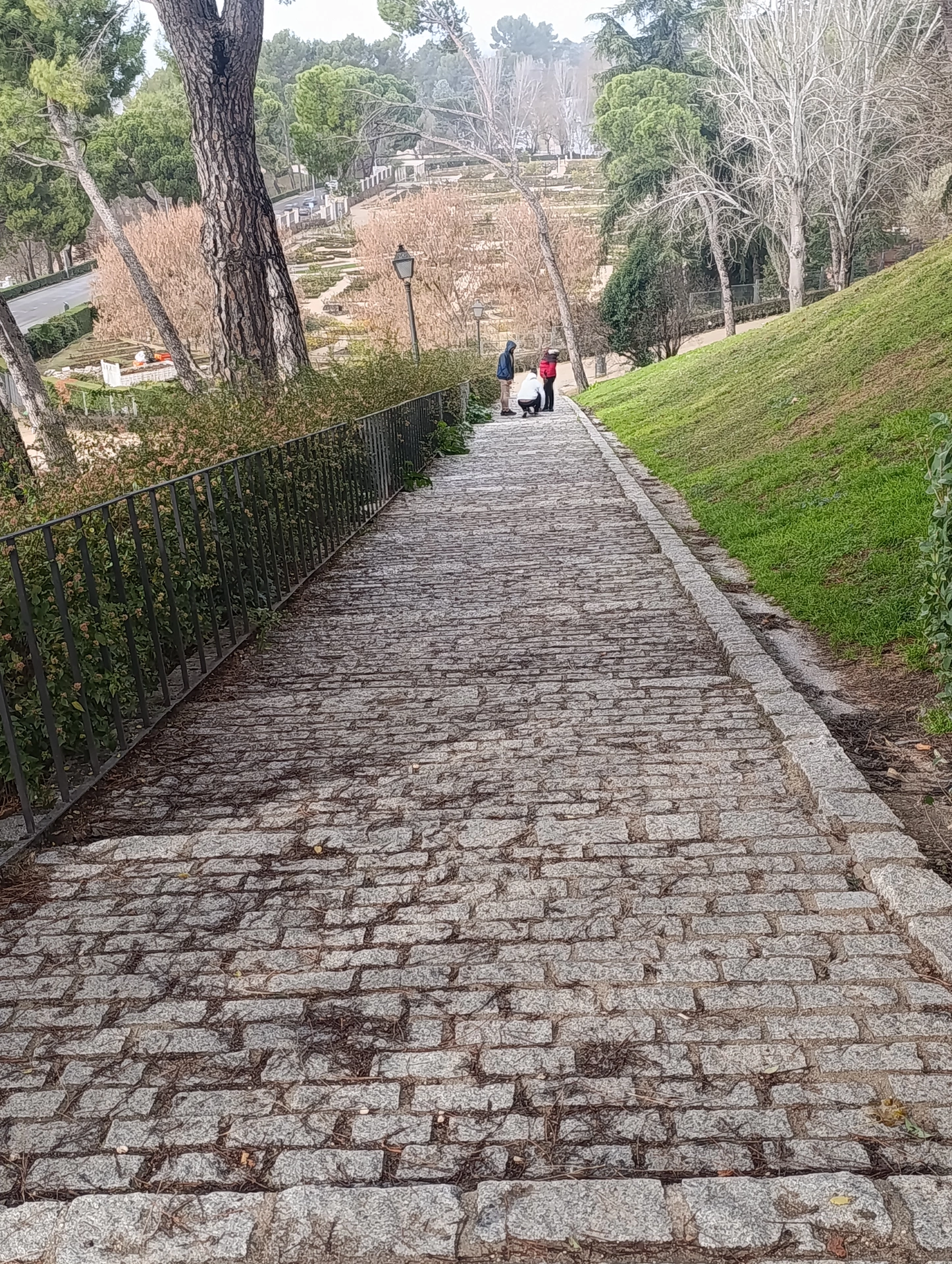 1000025450.webp