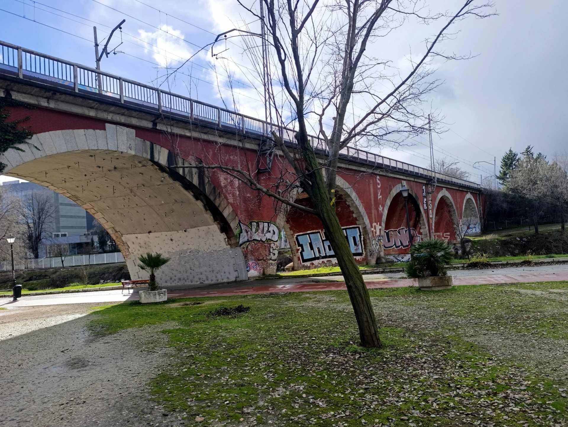 1000025493.webp