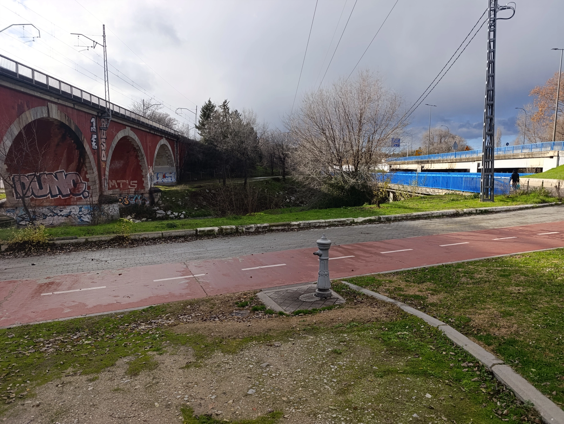 1000025494.webp