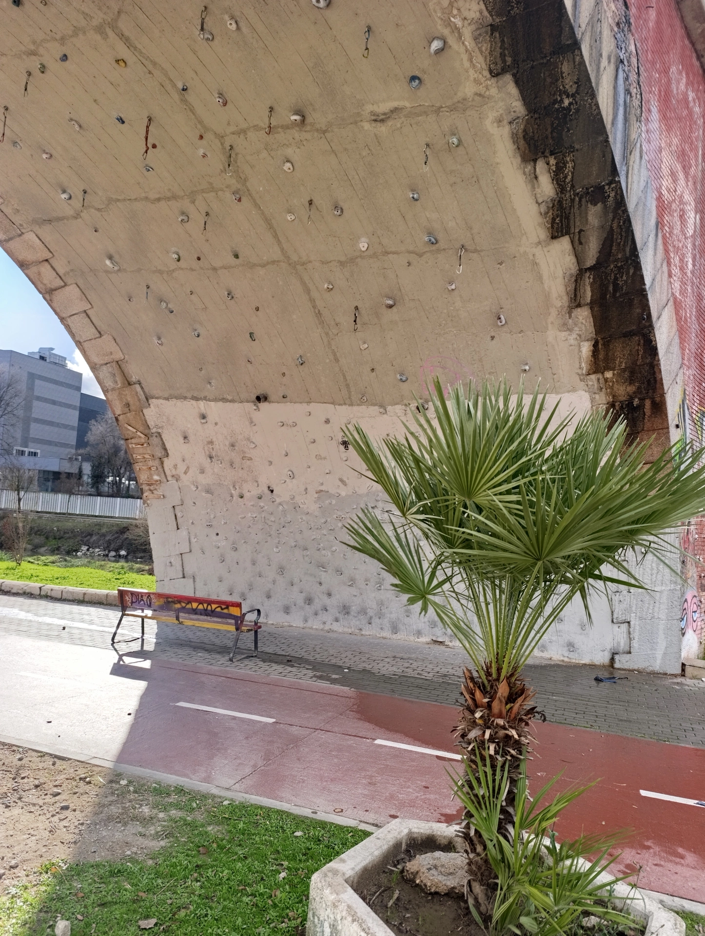 1000025495.webp