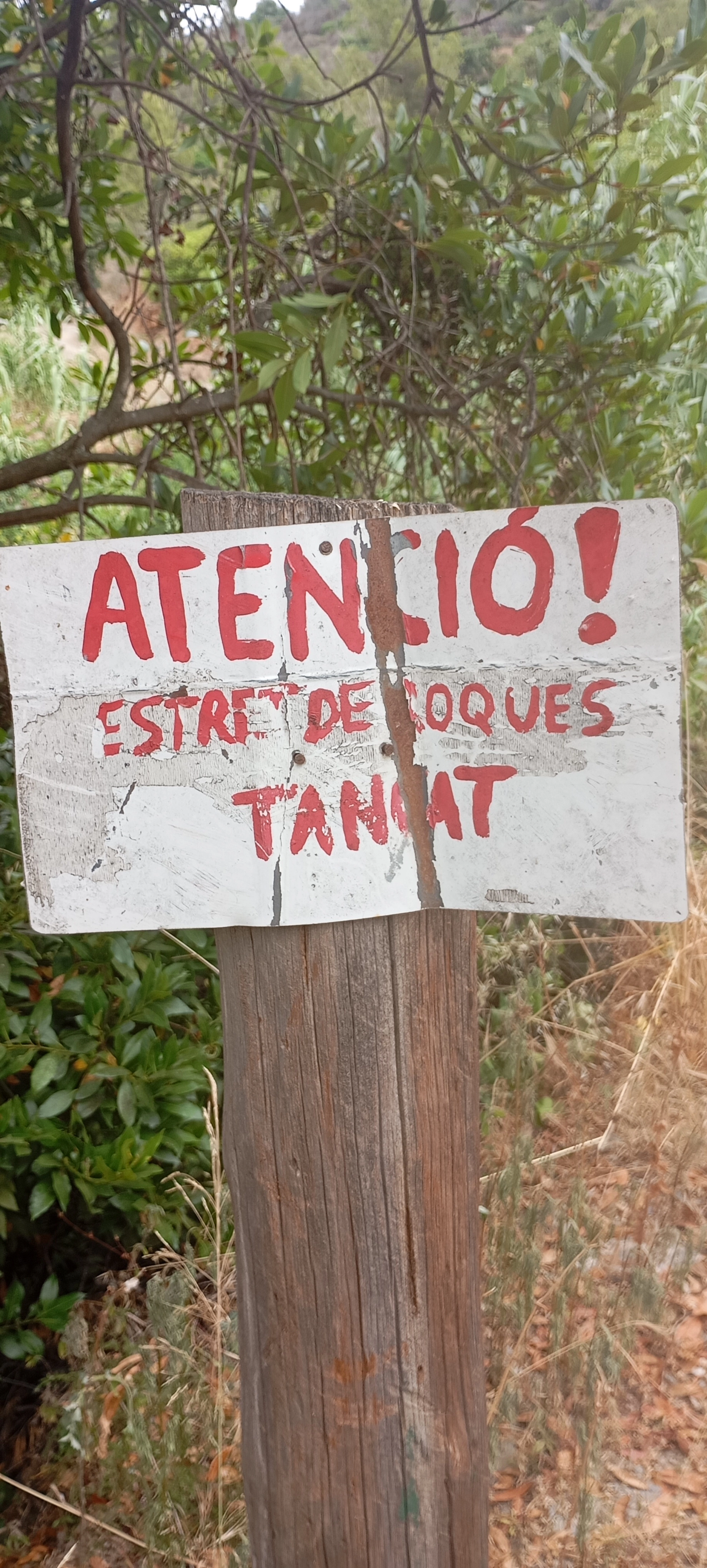 1000025861.webp