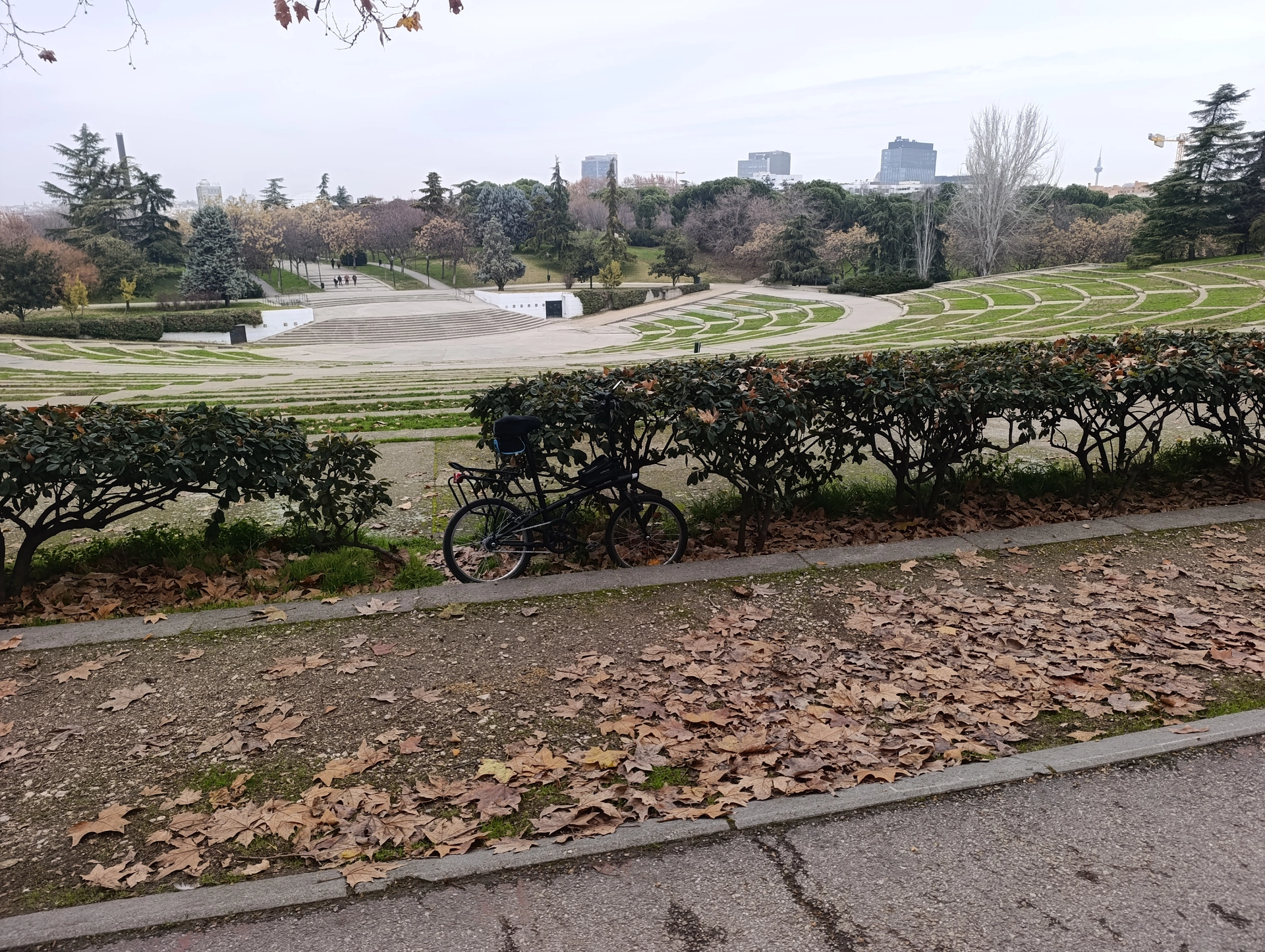1000025995.webp