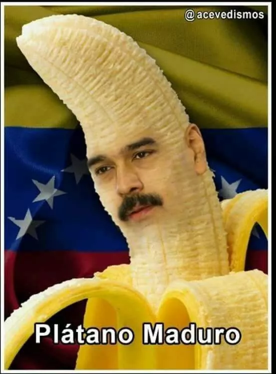 1000026748.webp