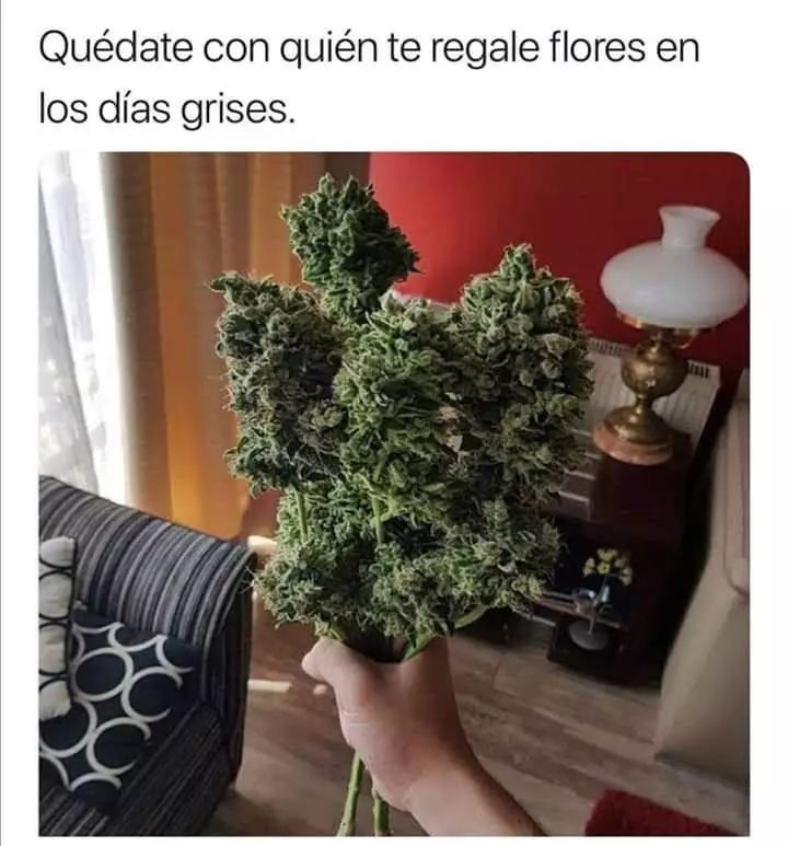 1000026991.webp