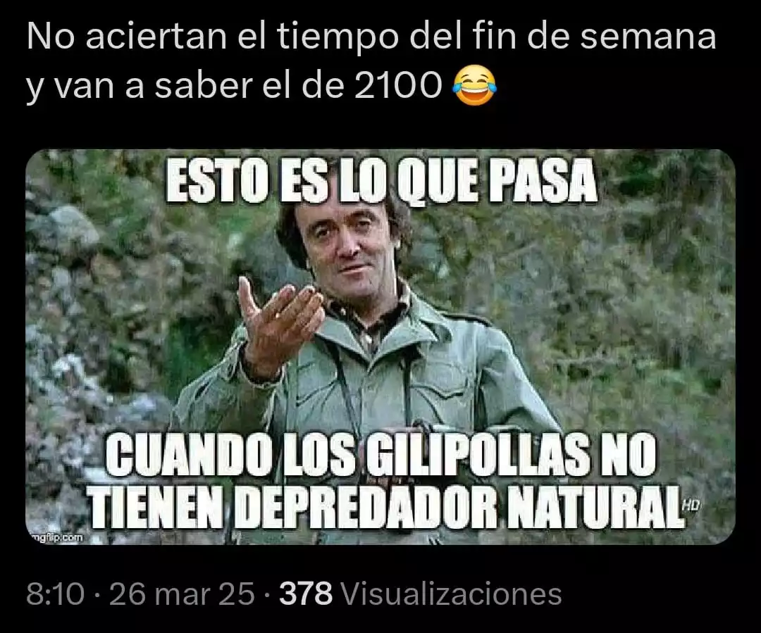 1000027285.webp