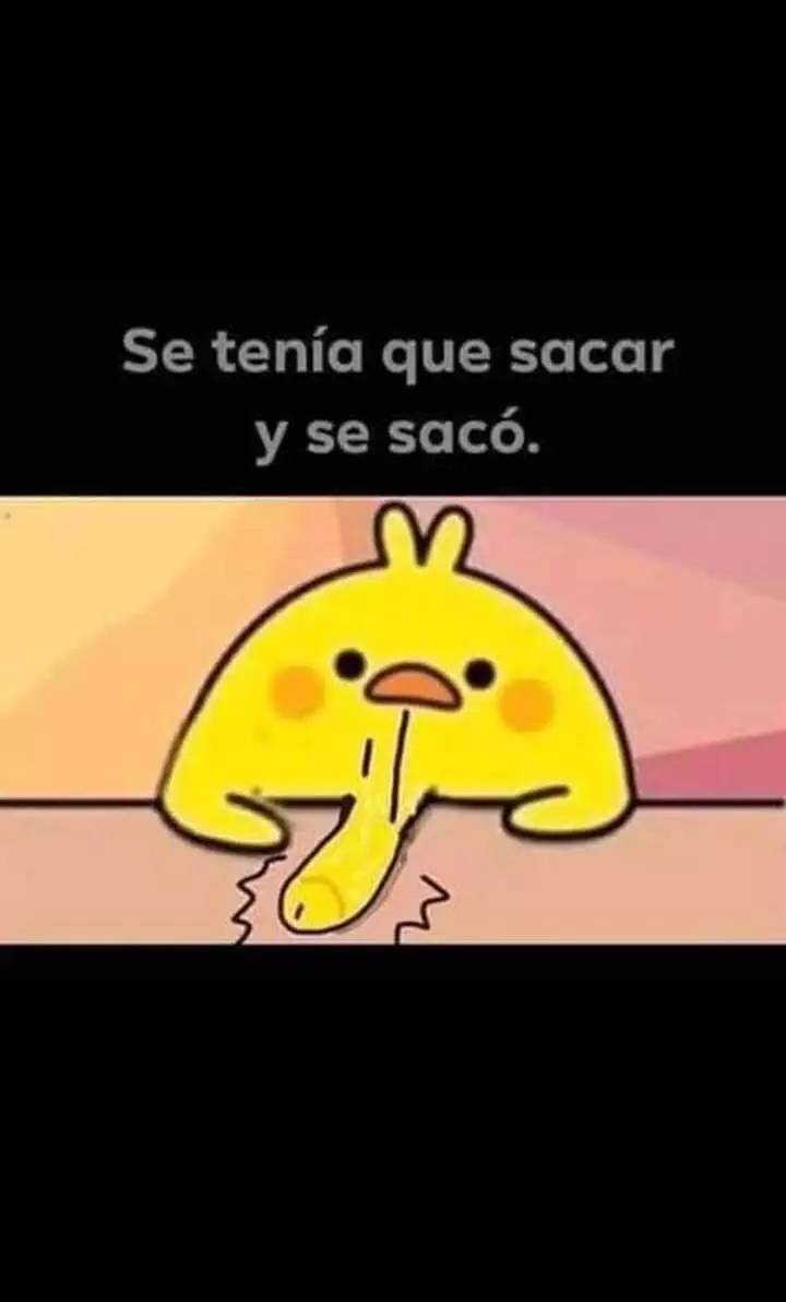 1000027376.webp